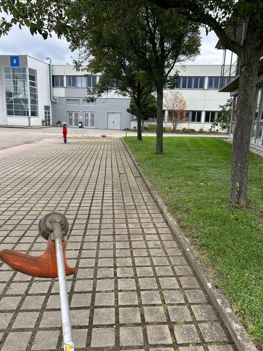 Dieselbe Pflasterfläche nach der Unkrautbeseitigung