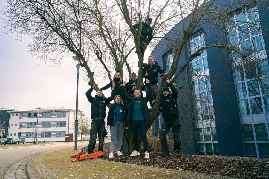 Das WOHLverde-Team gemeinsam an einem Baum