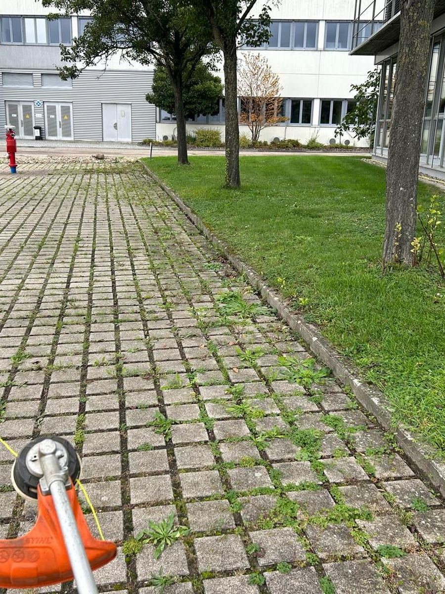 Pflasterfläche mit Unkraut in den Fugen, vor dem Einsatz